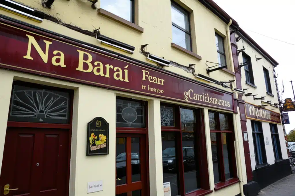 Baraí Carrickmacross: Na Roghanna is Fearr le Feiceáil