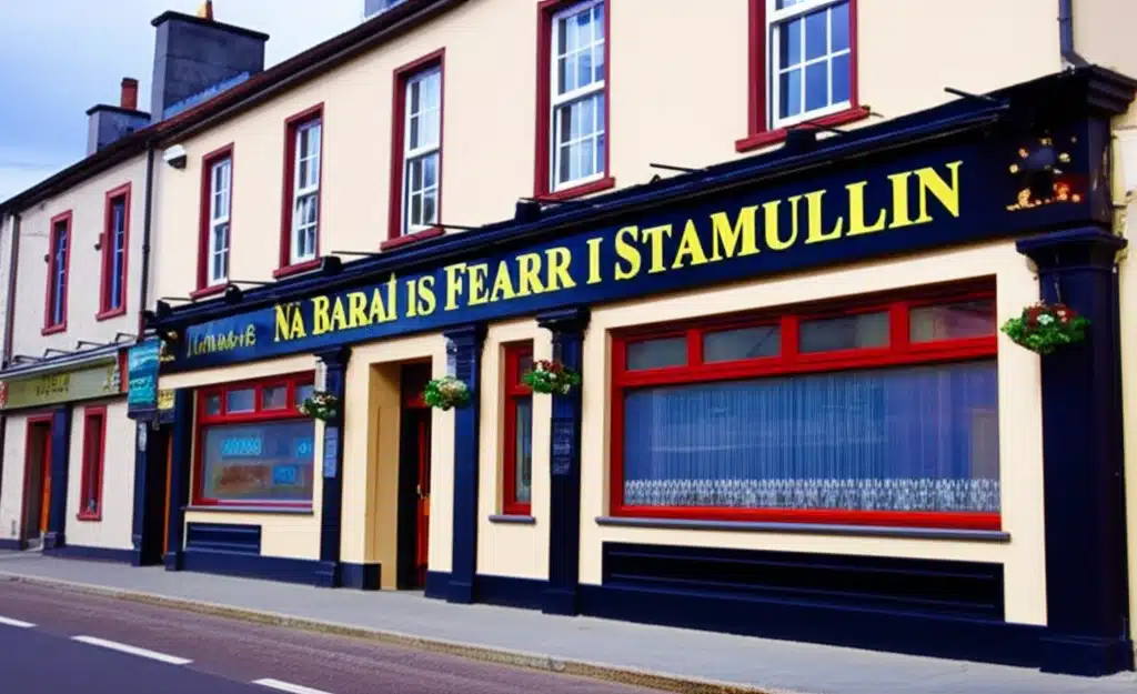 Baraí Stamullin: Na Roghanna is Fearr le Feiceáil