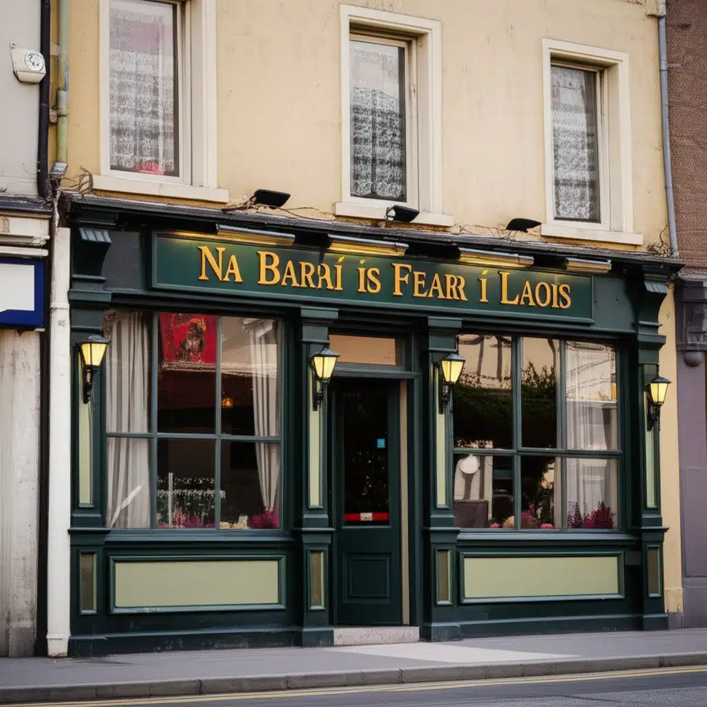 Na Baraí is Fearr i Laois 1 Na Baraí is Fearr i Laois: Grianghrafanna agus Léirmheasanna