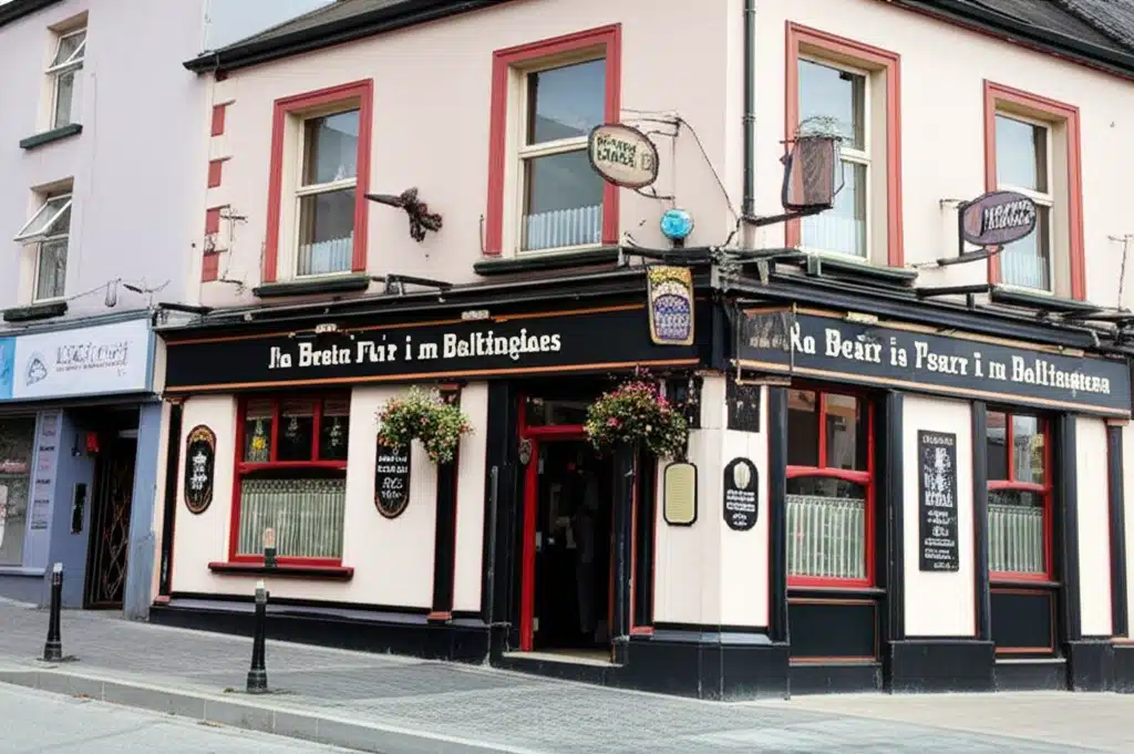 Na Beáir is Fearr i mBaltinglass 1 Na Beáir is Fearr i mBaltinglass: Grianghraf de chultúr áitiúil